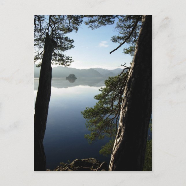 Carte Postale Entre les pins à Keswick (Devant)