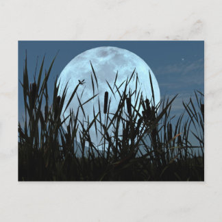 Carte postale entre Moon et Marsh