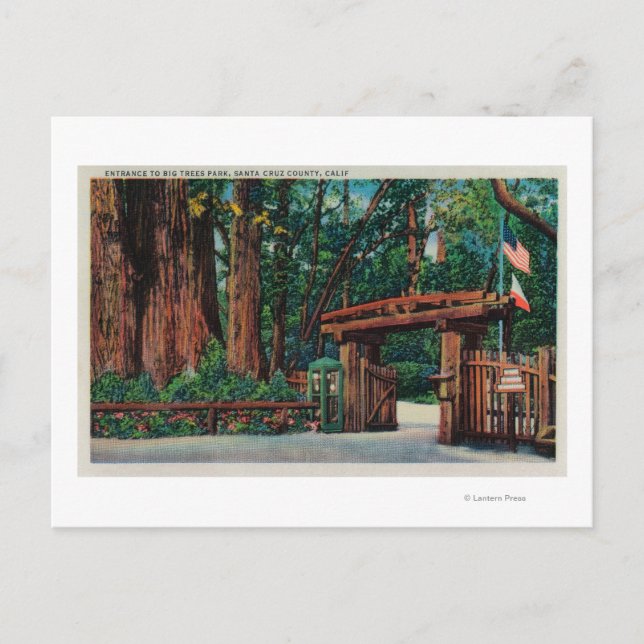 Carte Postale Entrée de Big Trees Park, comté de Père Noël Cruz (Devant)