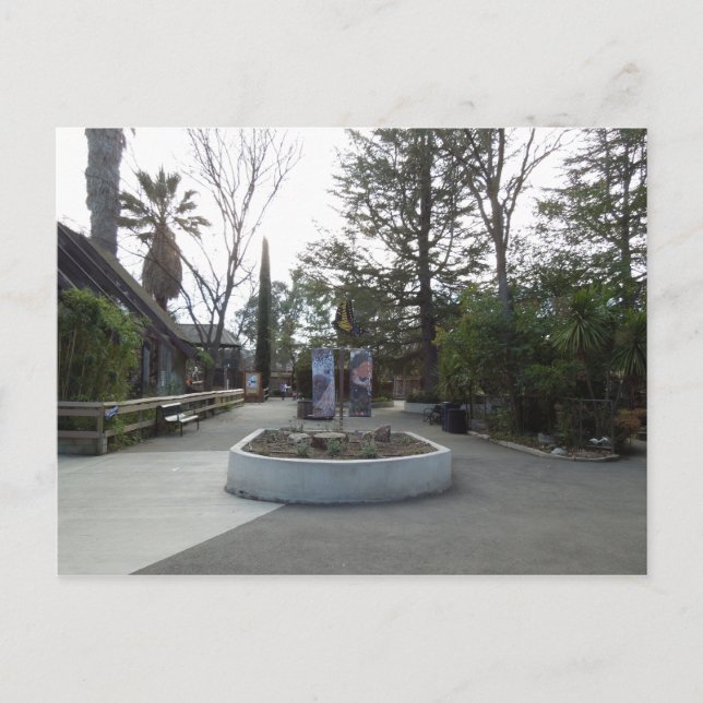 Carte Postale Entrée du zoo Charles Paddock (Devant)