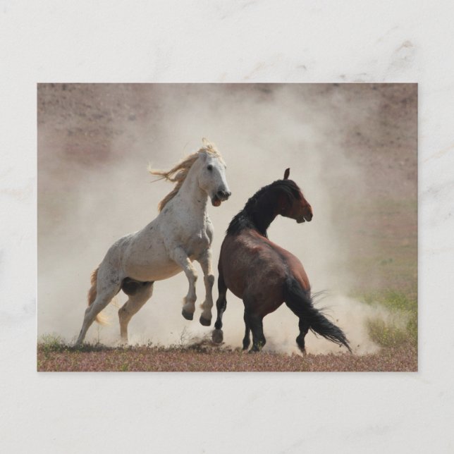 Carte Postale Entreprise sale (Devant)