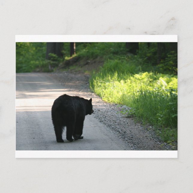 Carte Postale entrer dans la lumière (Devant)