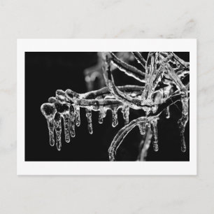 Carte Postale entrez l'hiver glacial