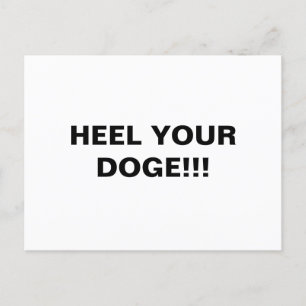 CARTE POSTALE ENTREZ VOTRE DOGE ! ! !