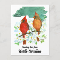 Envoi d'amour Caroline du Nord Cardinaux Dogwood