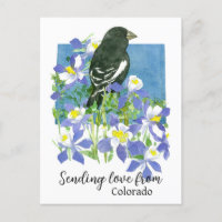 Envoi D'Amour De Colorado Lark Bunting Columbines