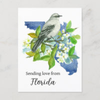 Envoi D'Amour De Floride Mockingbird Orange