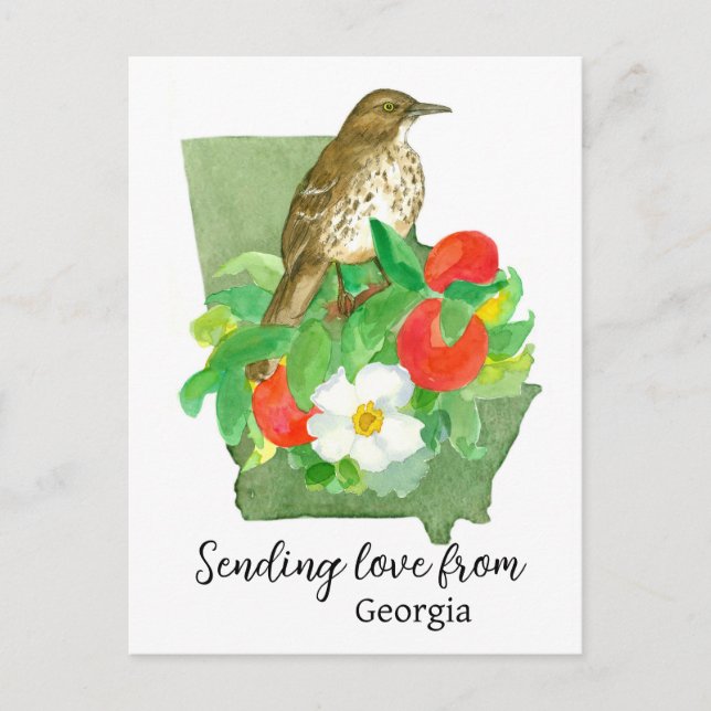 Carte Postale Envoi d'amour de Georgia Bird Peach Rose (Devant)