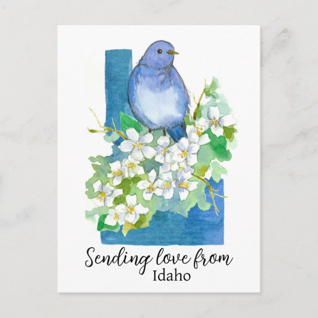 Carte Postale Envoi D'Amour De Idaho Bluebird Syringa (Devant)