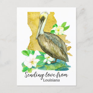 Carte Postale Envoi d'amour de Louisiana Pelican Magnolia