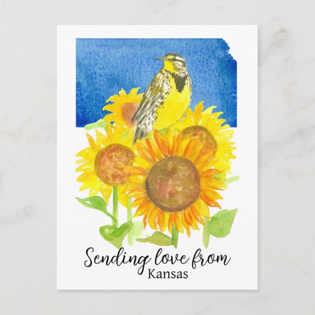 Carte Postale Envoi D'Amour De Tournesols Kansas Meadowlark (Devant)