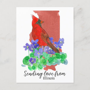Carte Postale Envoi D'Amour De Violets Cardinaux De L'Illinois