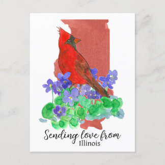 Carte Postale Envoi D'Amour De Violets Cardinaux De L'Illinois