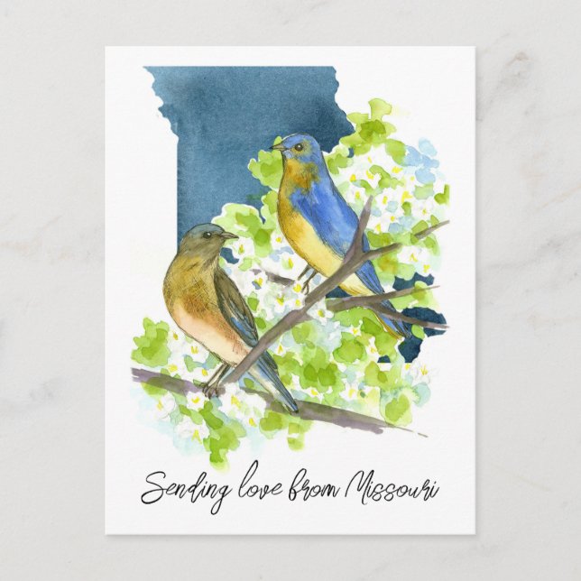 Carte Postale Envoi d'amour Missouri Bluebirds Fleur Hawthorn (Devant)