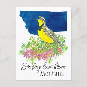 Carte Postale Envoi d'amour Montana Bitterroot Fleur sauvage