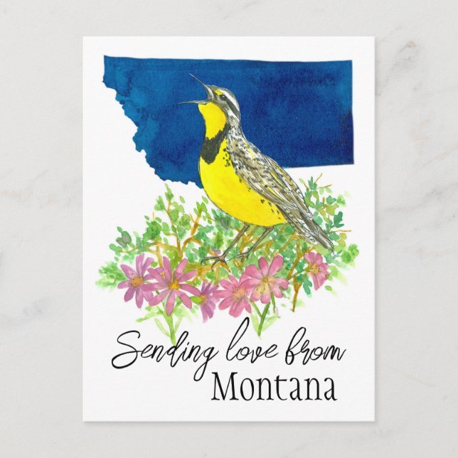 Carte Postale Envoi d'amour Montana Bitterroot Fleur sauvage (Devant)