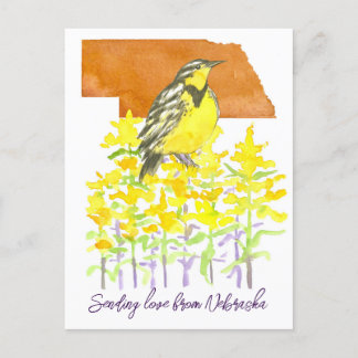 Carte Postale Envoi d'amour Nebraska Meadowlark Goldenrod Fleurs