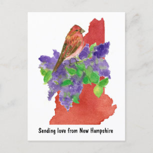 Carte Postale Envoi d'amour New Hampshire Purple Finch Lilac