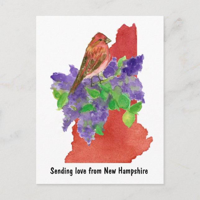 Carte Postale Envoi d'amour New Hampshire Purple Finch Lilac (Devant)