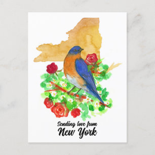 Carte Postale Envoi d'amour New York Bluebird Red Roses