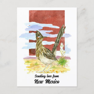 Carte Postale Envoi d'amour Nouveau Mexique Road Runner Yucca Fl