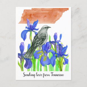 Carte Postale Envoi d'amour Tennessee Mockingbird Iris Fleur