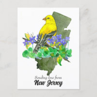 Envoi d'amour Violets Goldfinch New Jersey