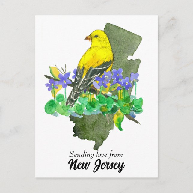 Carte Postale Envoi d'amour Violets Goldfinch New Jersey (Devant)