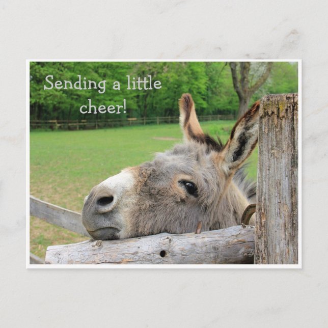 Carte postale "Envoi de joie" Unhappy Donkey (Devant)