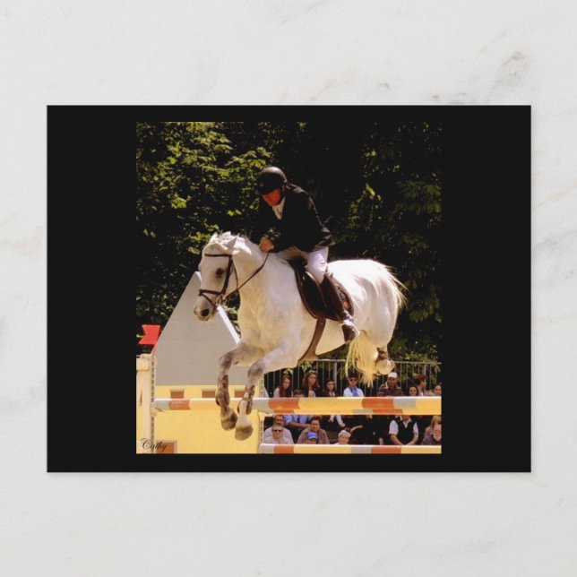 Carte Postale Envol (Devant)