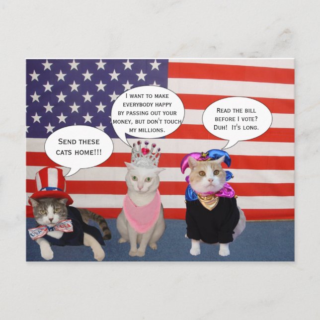 Carte Postale Envoyez ces chats chez vous ! (Devant)