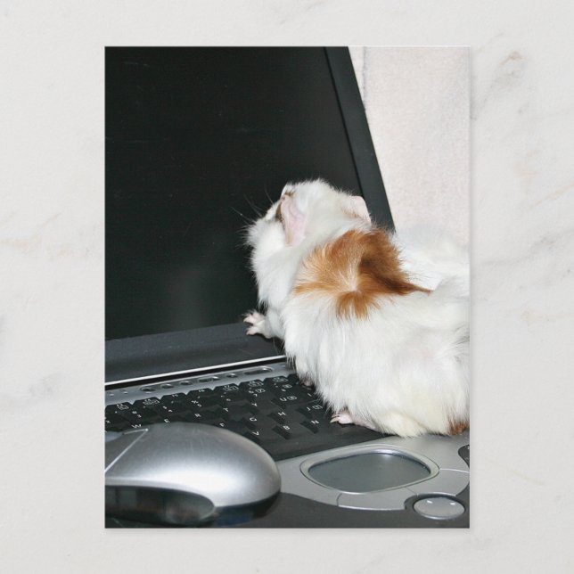 Carte Postale Envoyez-moi un courriel ! (Devant)