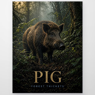 Carte Postale Épaisses broussailles de forêt de porc ANIMAL faun