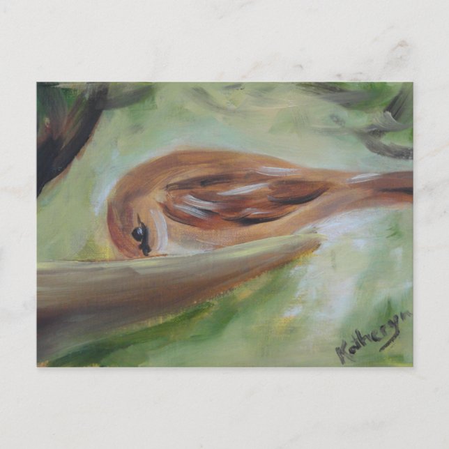 Carte Postale Épervier à l'alimentation (Devant)