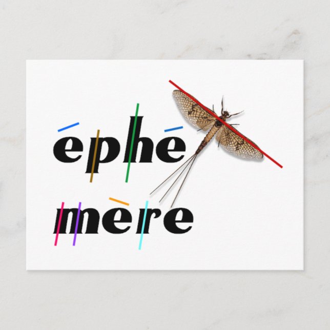 Carte Postale éphémère instantané (Devant)