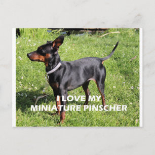Carte Postale épingle principale noir rouille pleine amour avec