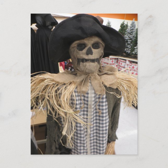 Carte Postale Épouvantail (Devant)