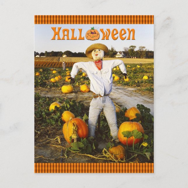 Carte Postale Épouvantail d'Halloween en champ citrouille (Devant)