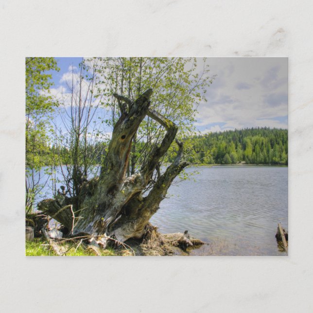 Carte Postale Épuisé - Marshall Lake (Devant)