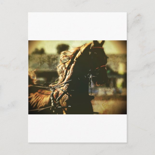 Carte Postale équestre | Puissance pure (Devant)