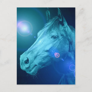 Carte postale Equine Designs