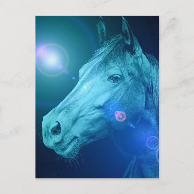 Carte postale Equine Designs (Devant)
