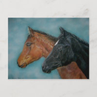 équine photo de deux très mignons bébés chevaux