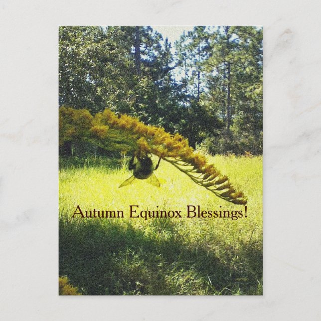 Carte Postale Équinoxe Mabon d'automne d'abeille et d'or (Devant)