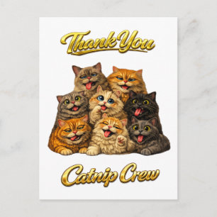 Carte Postale Équipage de l'herbe à chat Mignons Visages de Chat