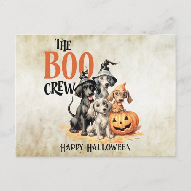 Carte Postale Équipe de chiens Boo effrayants Halloween Citrouil (Devant)