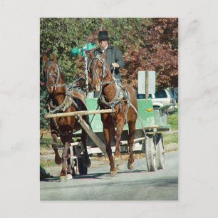 Carte Postale Équipe de deux chevaux