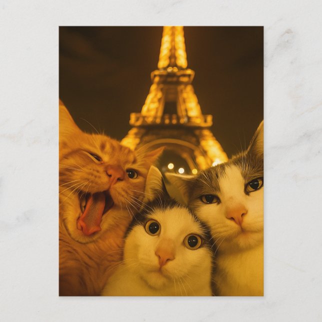 Carte Postale Équipe de selfie de chat de nuit de Paris amoureus (Devant)