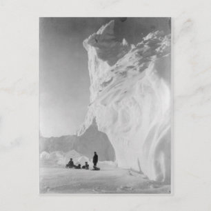 Carte Postale Équipe de traîneau à chiens reposant par Iceberg
