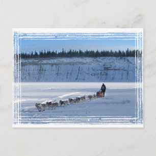 Carte Postale Équipe Yukon Quest
